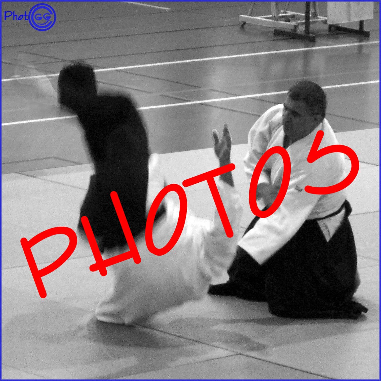 110604 Vignette pour site Photos Shodan Abdel.jpg - 376,88 kB