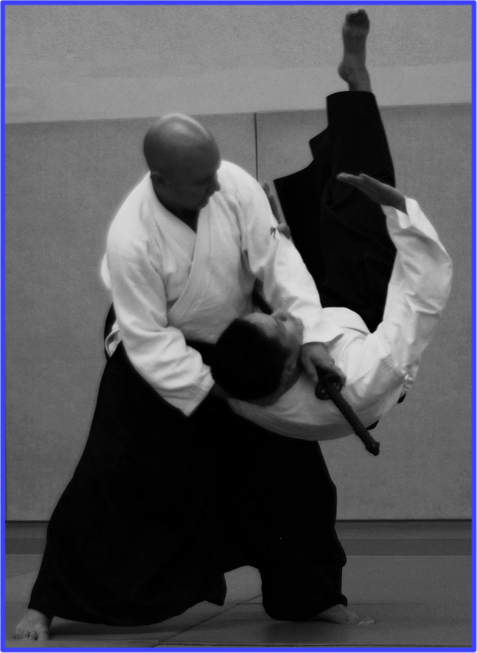 111126 Irimi Nage par Alain Vergnole.jpg - 470,08 kB