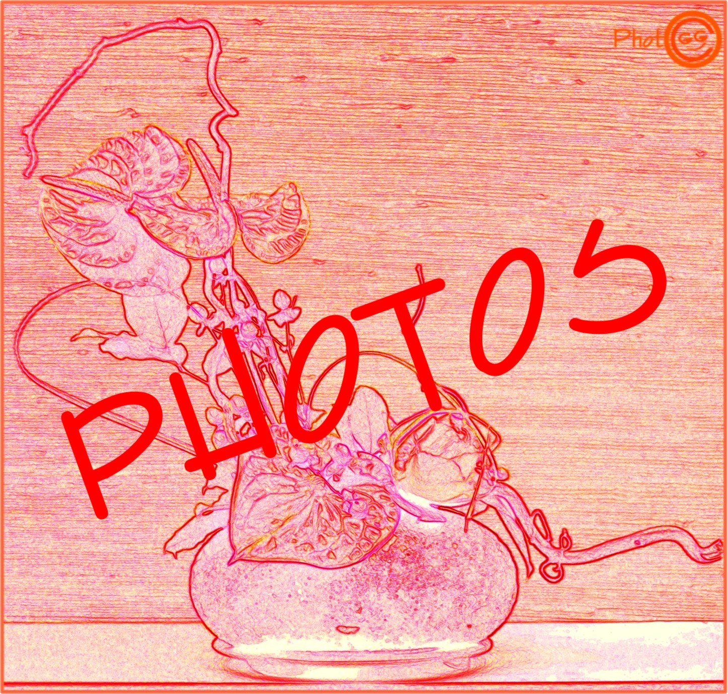 131130 -1201 2 Vignette cours enfants du samedi am.jpg - 821,60 kB