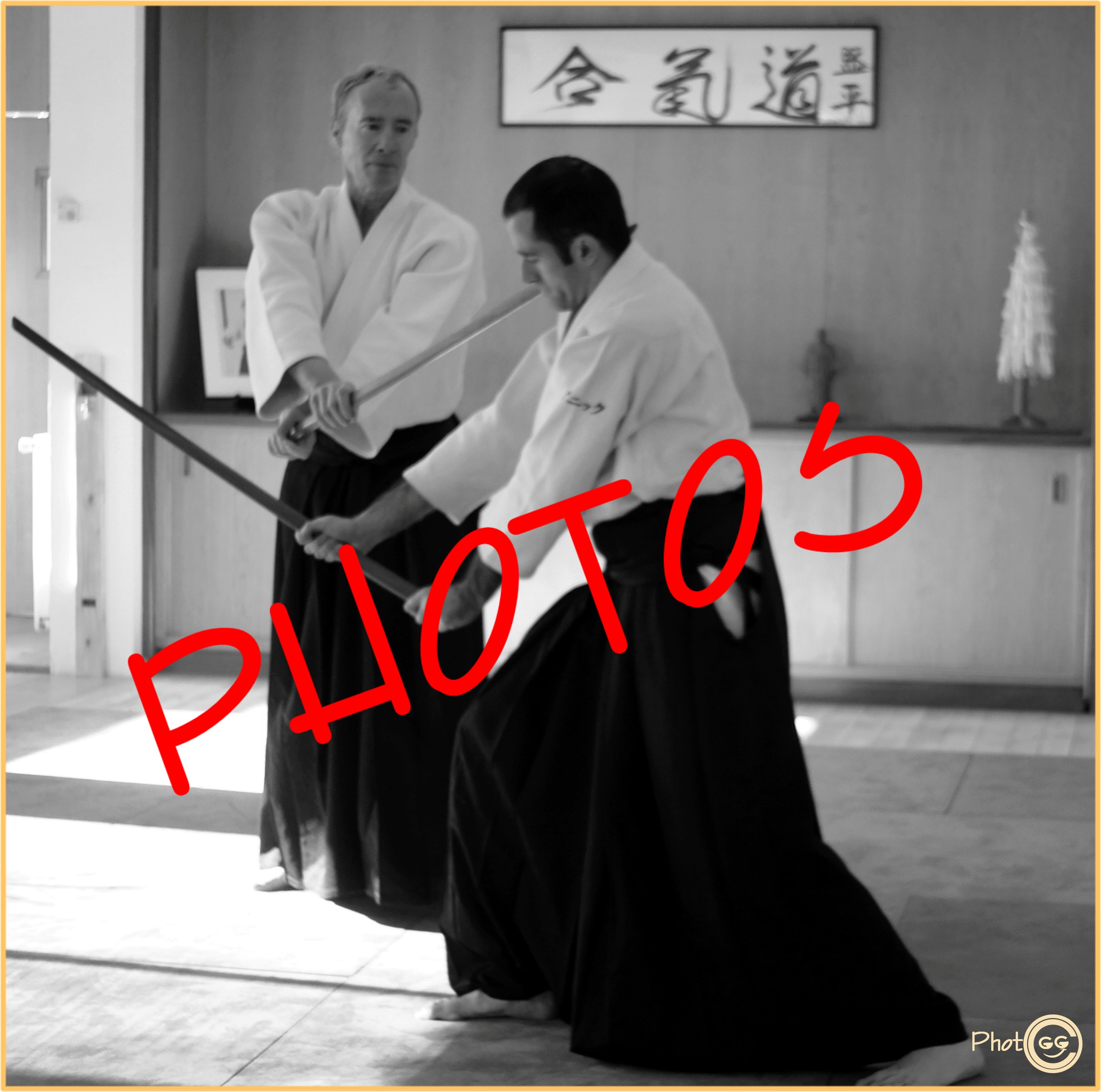 131231 Vignette 1 Au Shumeikan Dojo for Toulousians only.jpg - 998,36 kB