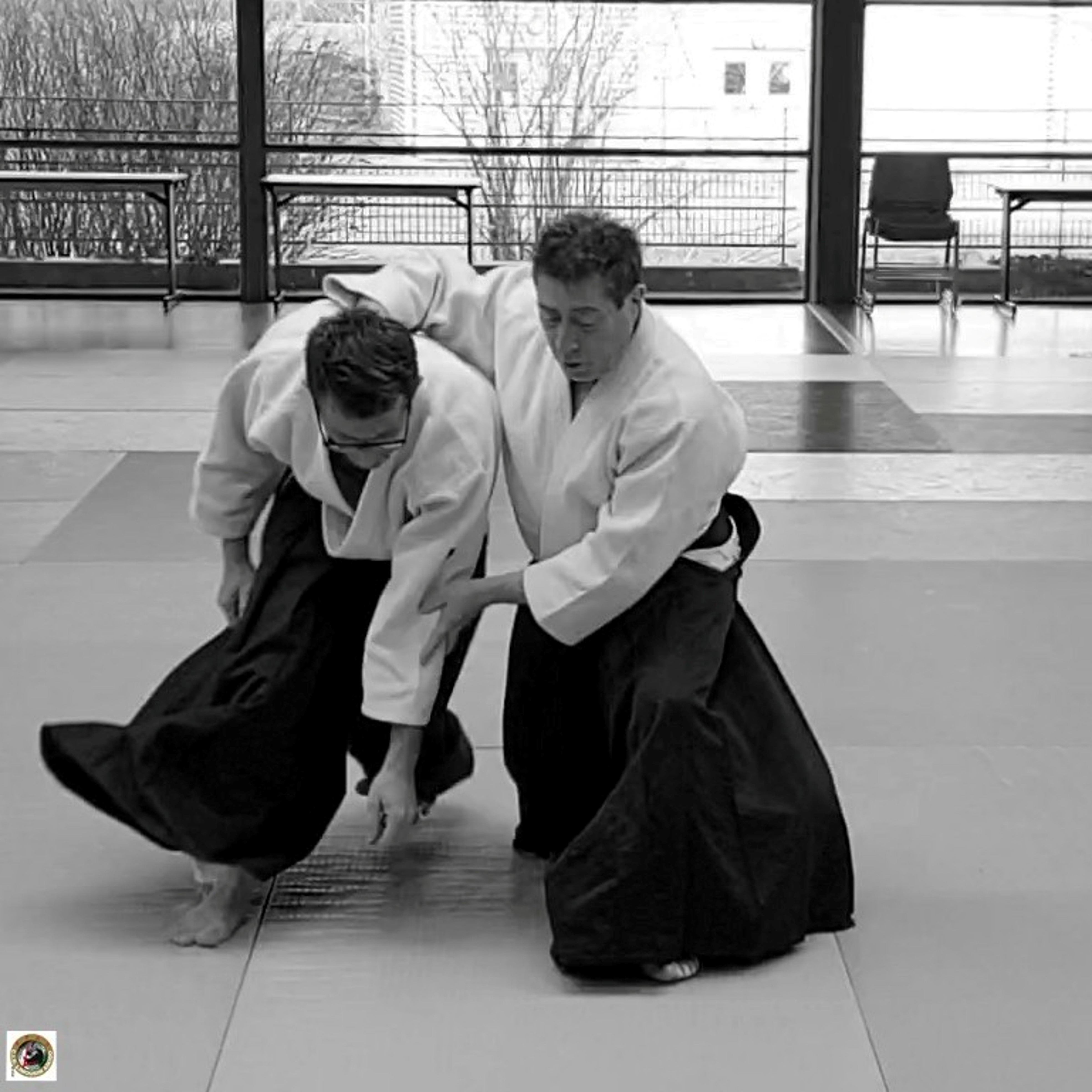 http://www.aikidoisle.fr/images/tele/CR_Stages/20200307_161308