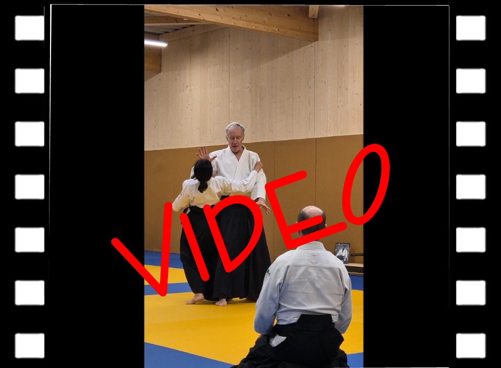250309 Image de la vidéo d'Henri Avril.jpg - 91,04 kB