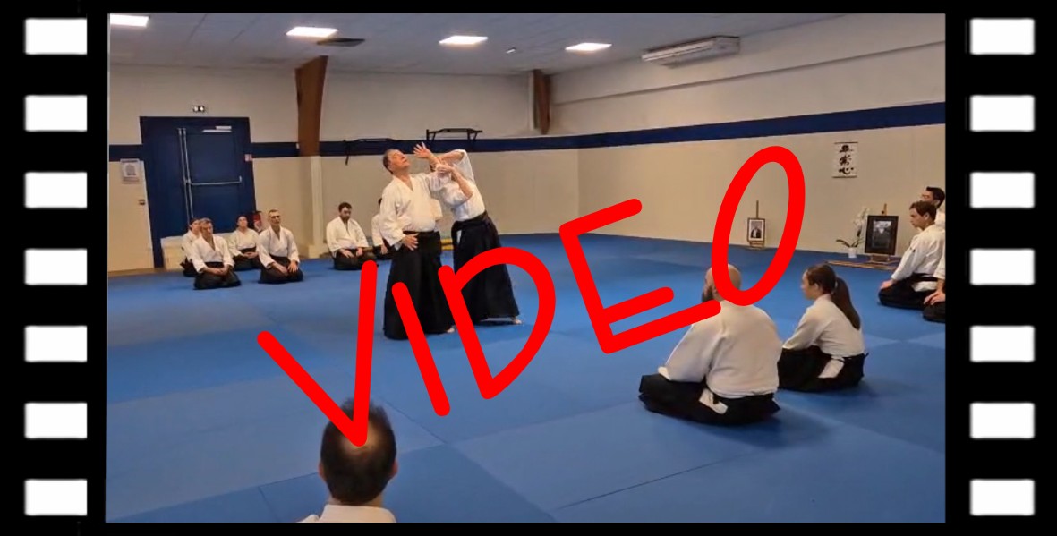 260425-26 Image de la video stage R Dalessandro Isle.jpg - 106,96 kB